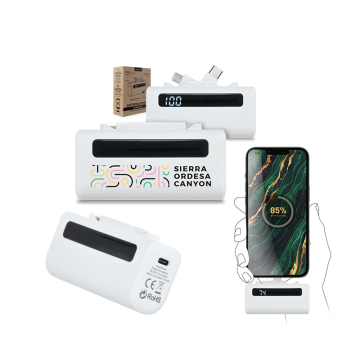BATTERIE EXTERNE POWER BANK COMPACT 5000 mAh EN rABS